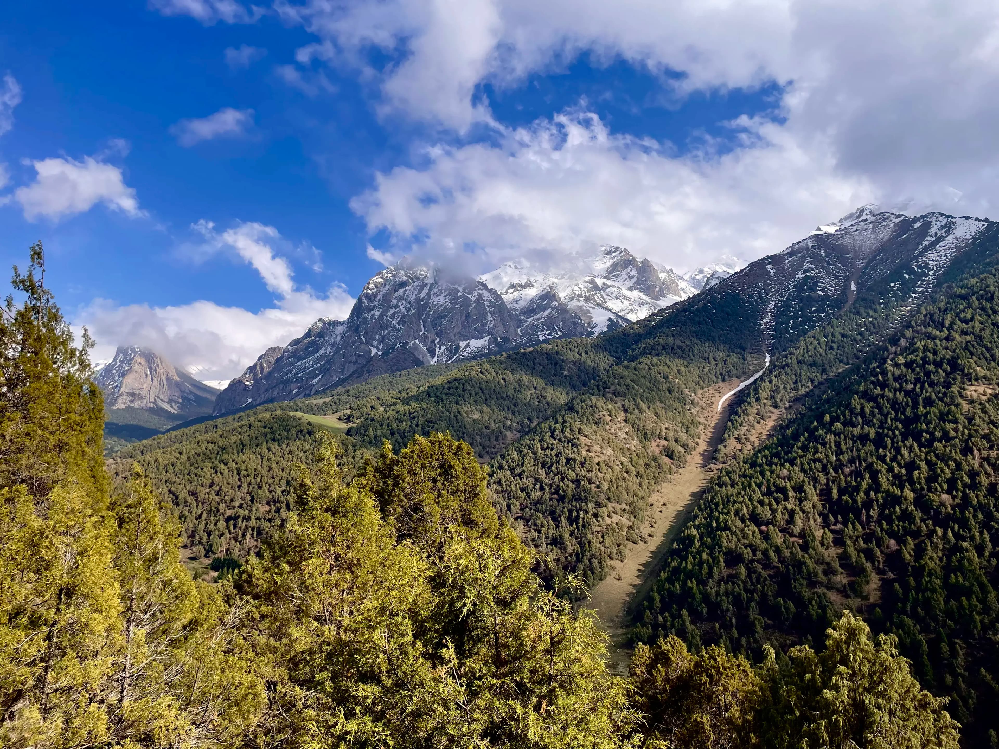 And I Still Checked My Phone