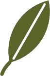Apollo logo