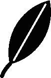 Apollo logo